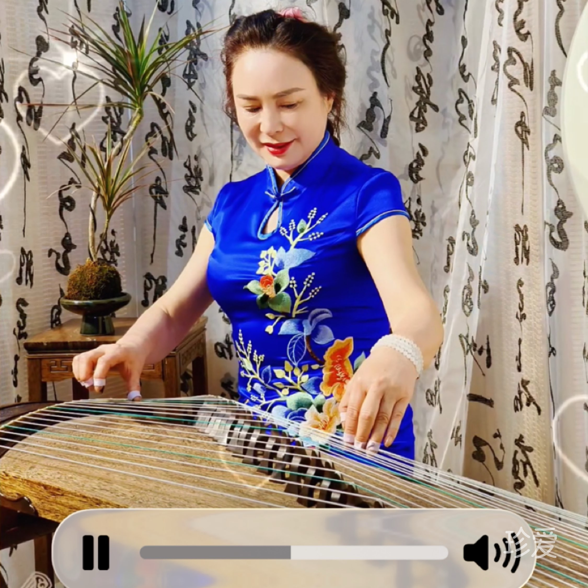 夏日的阳光