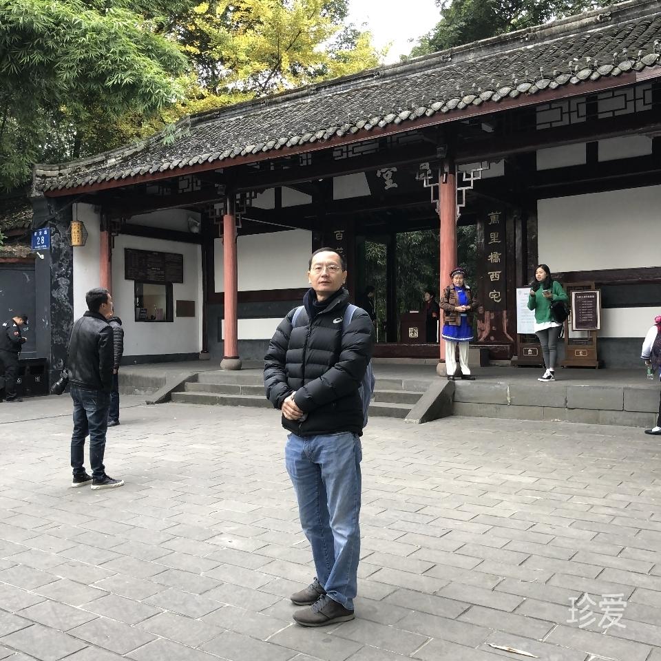 泊兮者