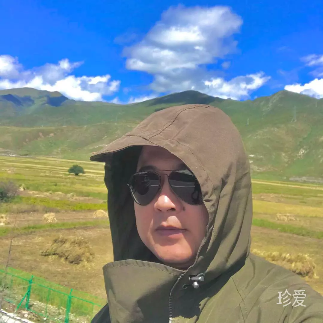 红鲤鱼绿鲤鱼与驴