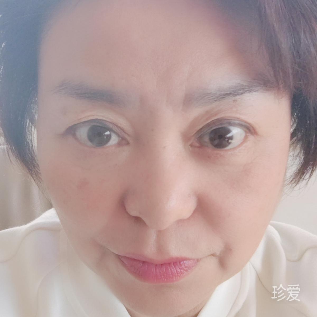 风起蝶舞