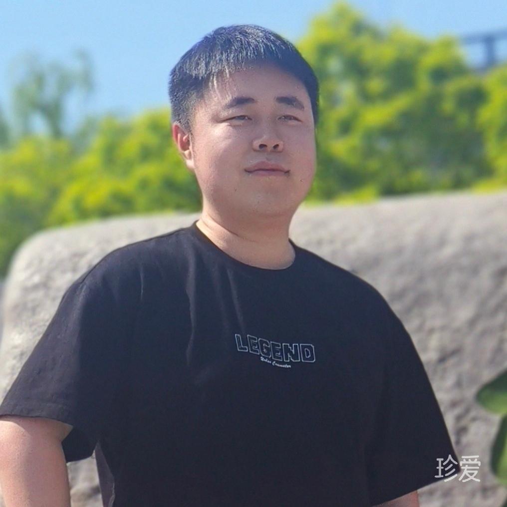 如此的距离