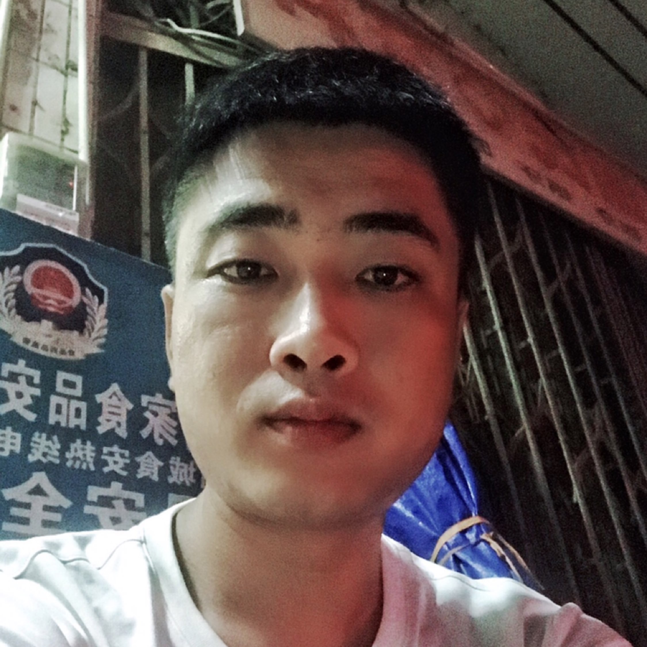 昨日星辰把梦点亮