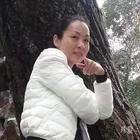 兔乖乖