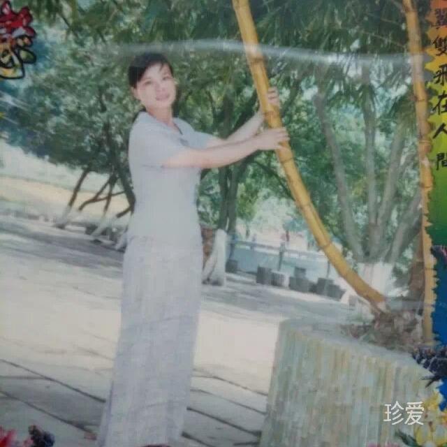 圆月
