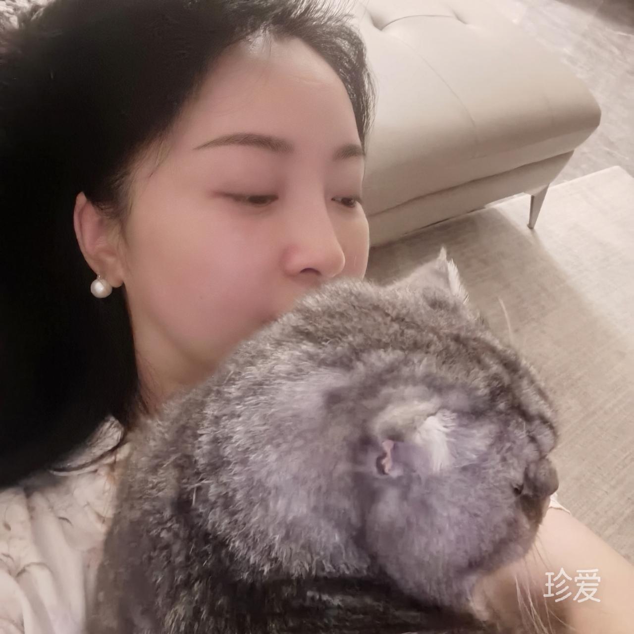 幻莲
