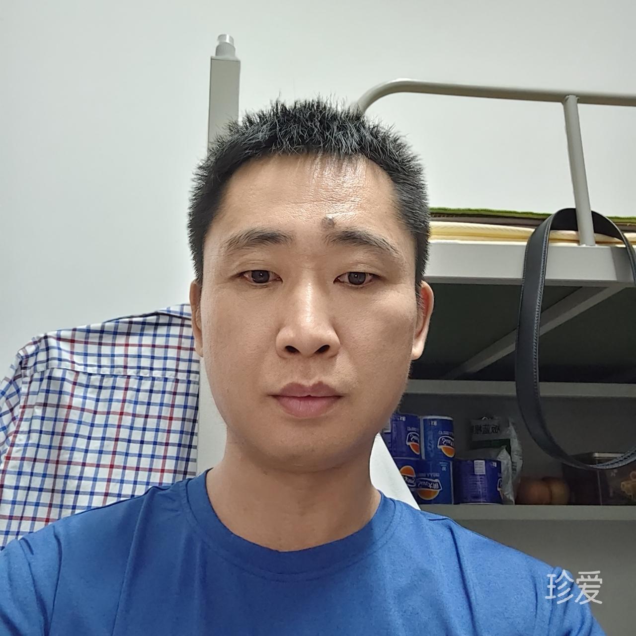流浪单身狗