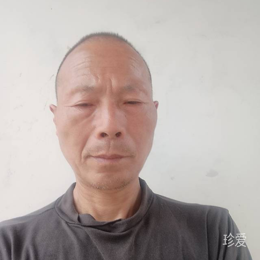 穿过星河拥抱你