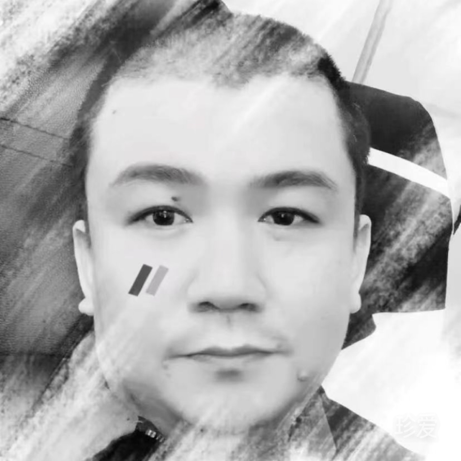 白首不分离