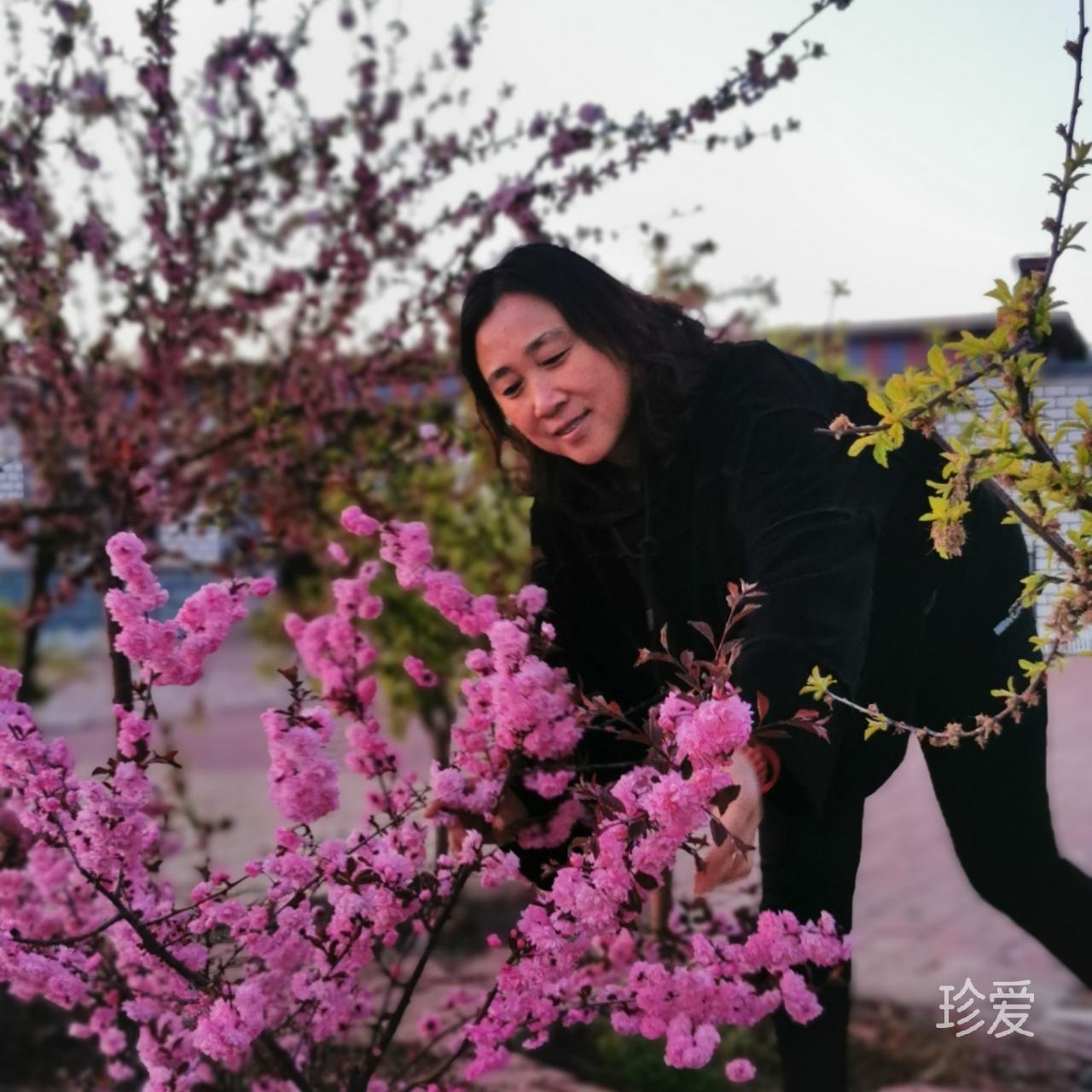 何以笙箫默