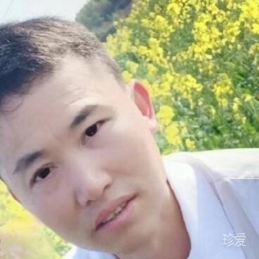单身求爱
