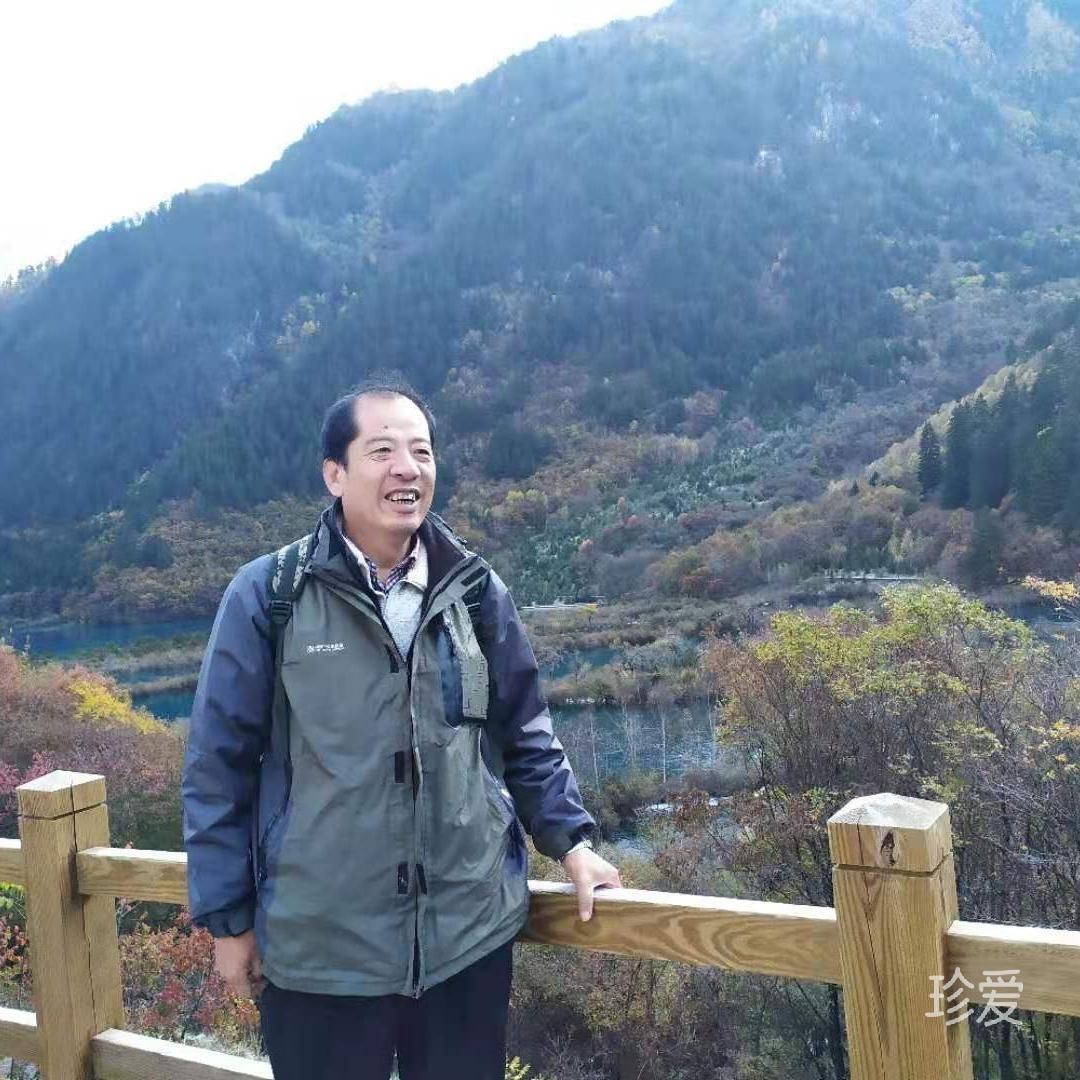 自由之心