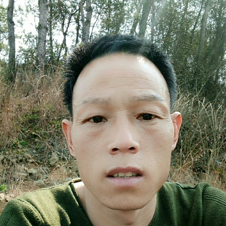 尋找失去的記憶