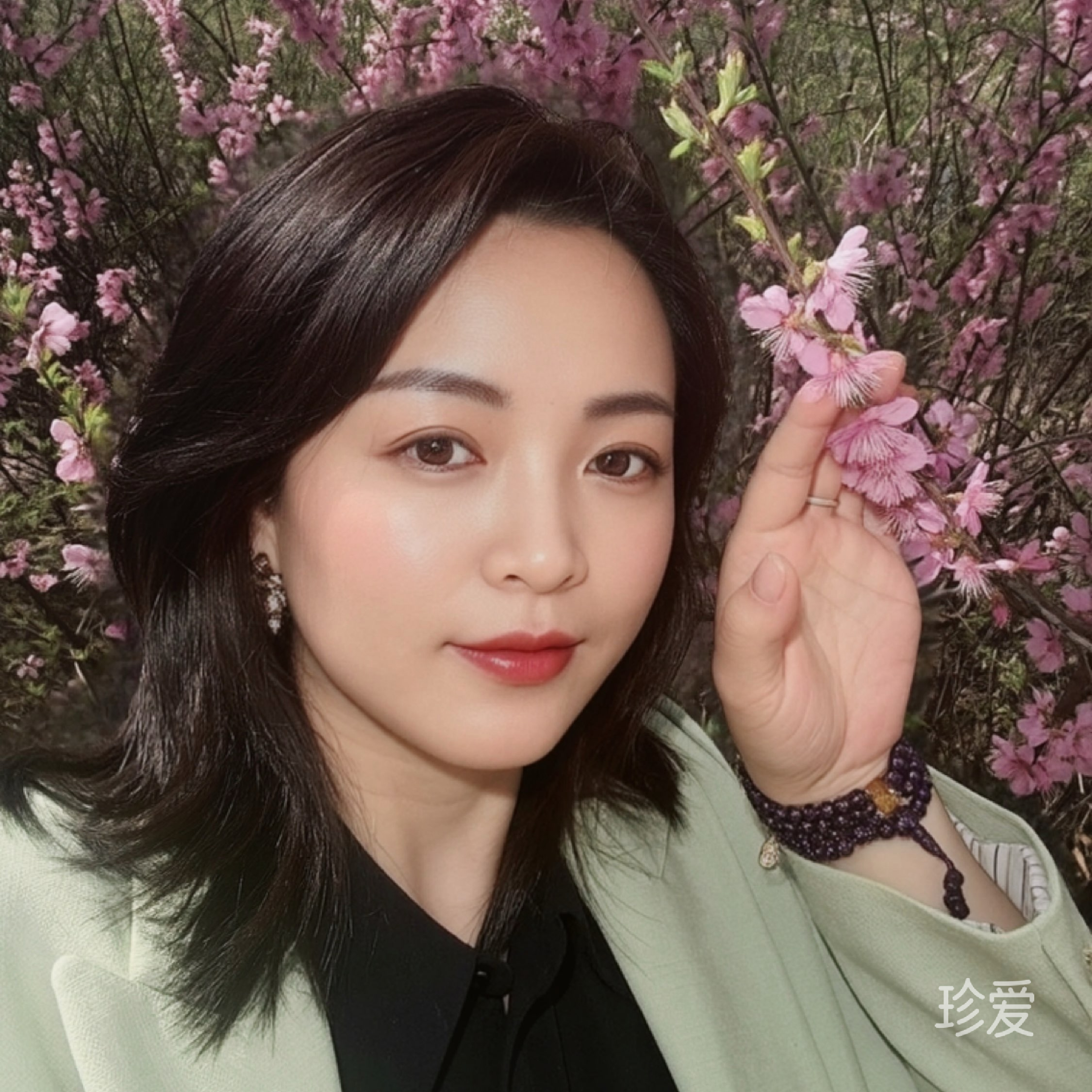 风中的歌