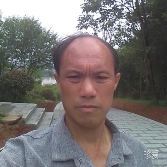 忠于感情