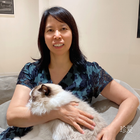 一城柳絮吹成雪