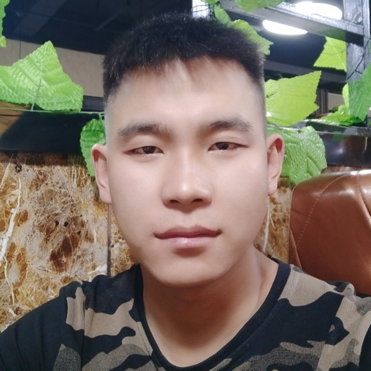 艾菲尔上的铁塔梦