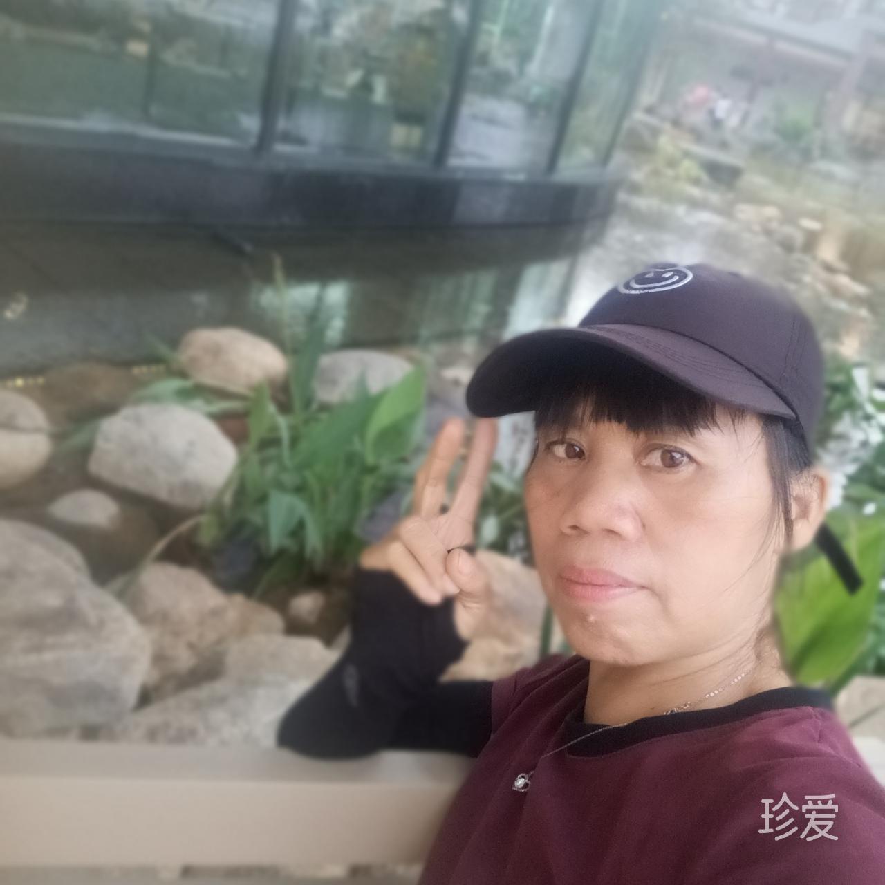 我在彼岸