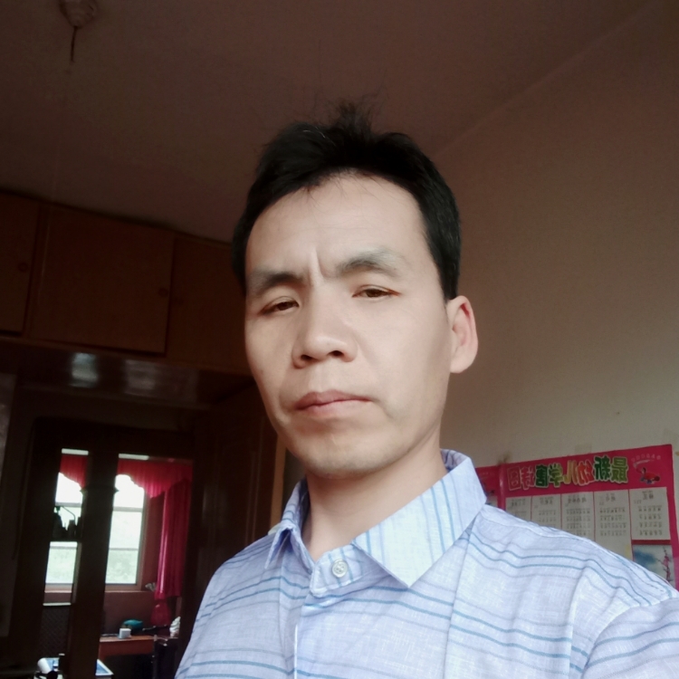 清晨的陽(yáng)光