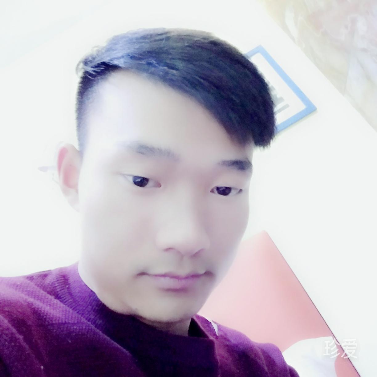 极北之光
