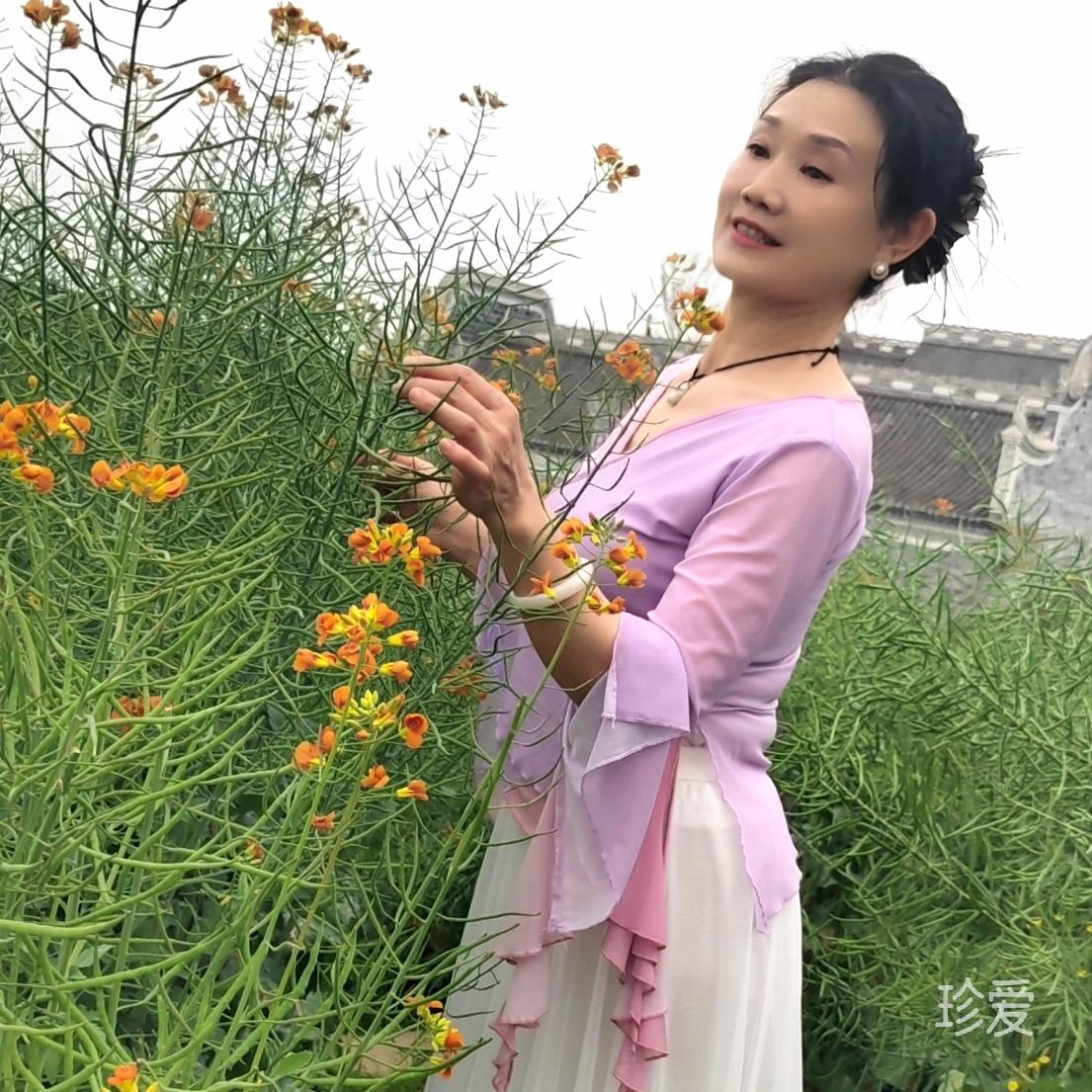 寻缘