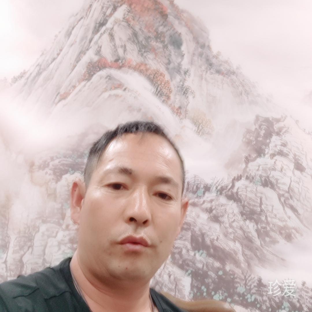 淡如水