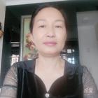 十六的主人