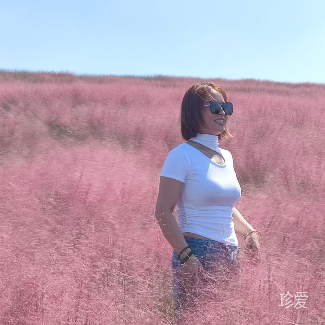 阳光明媚