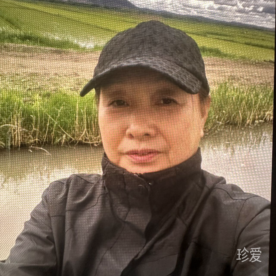 拾晚风