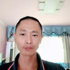 尋找陽光