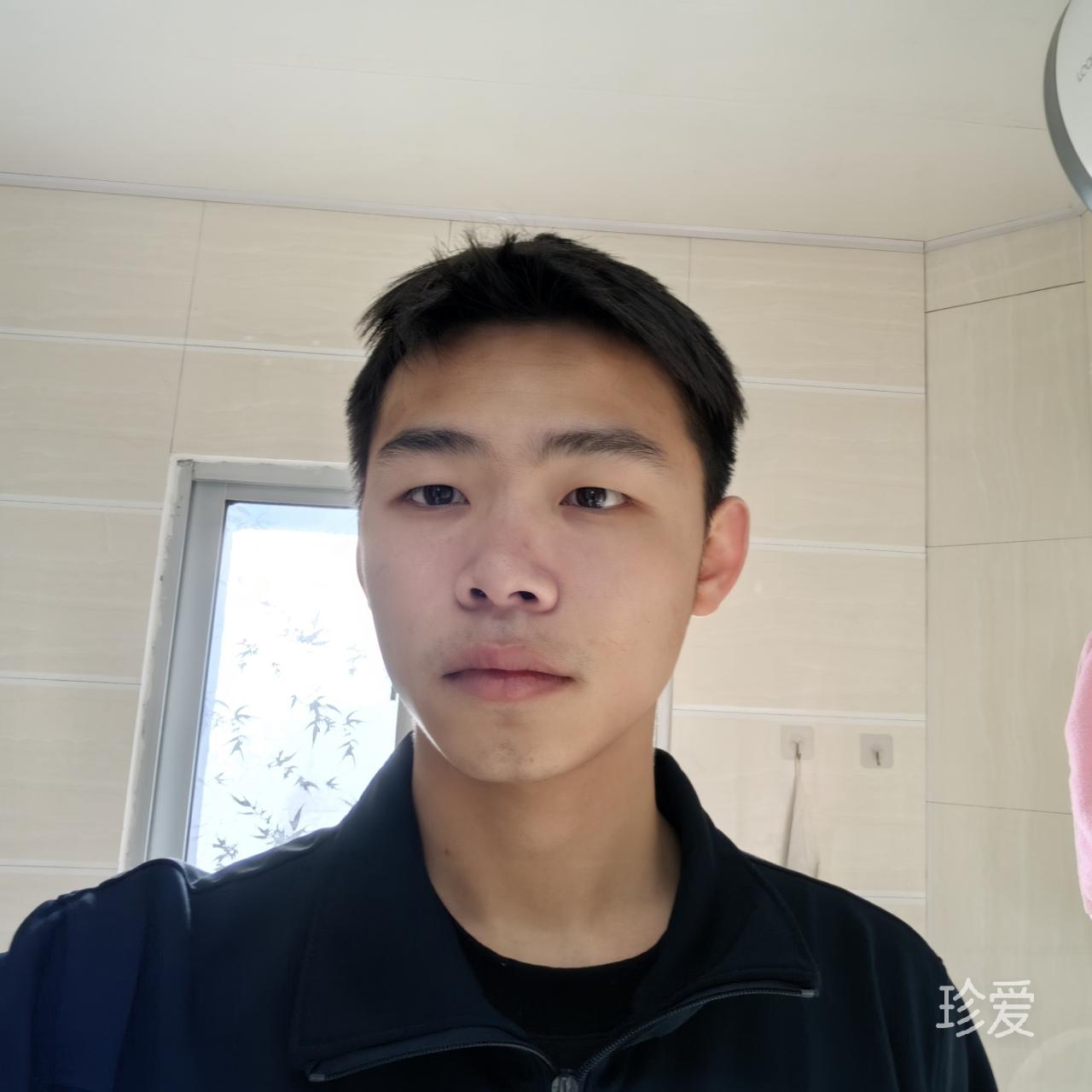 天空的鸟