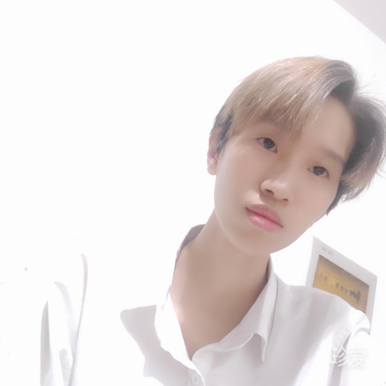 風(fēng)之優(yōu)雅