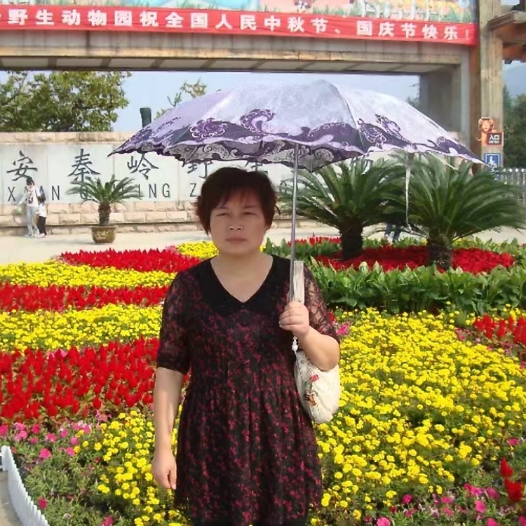 一城一池一世界