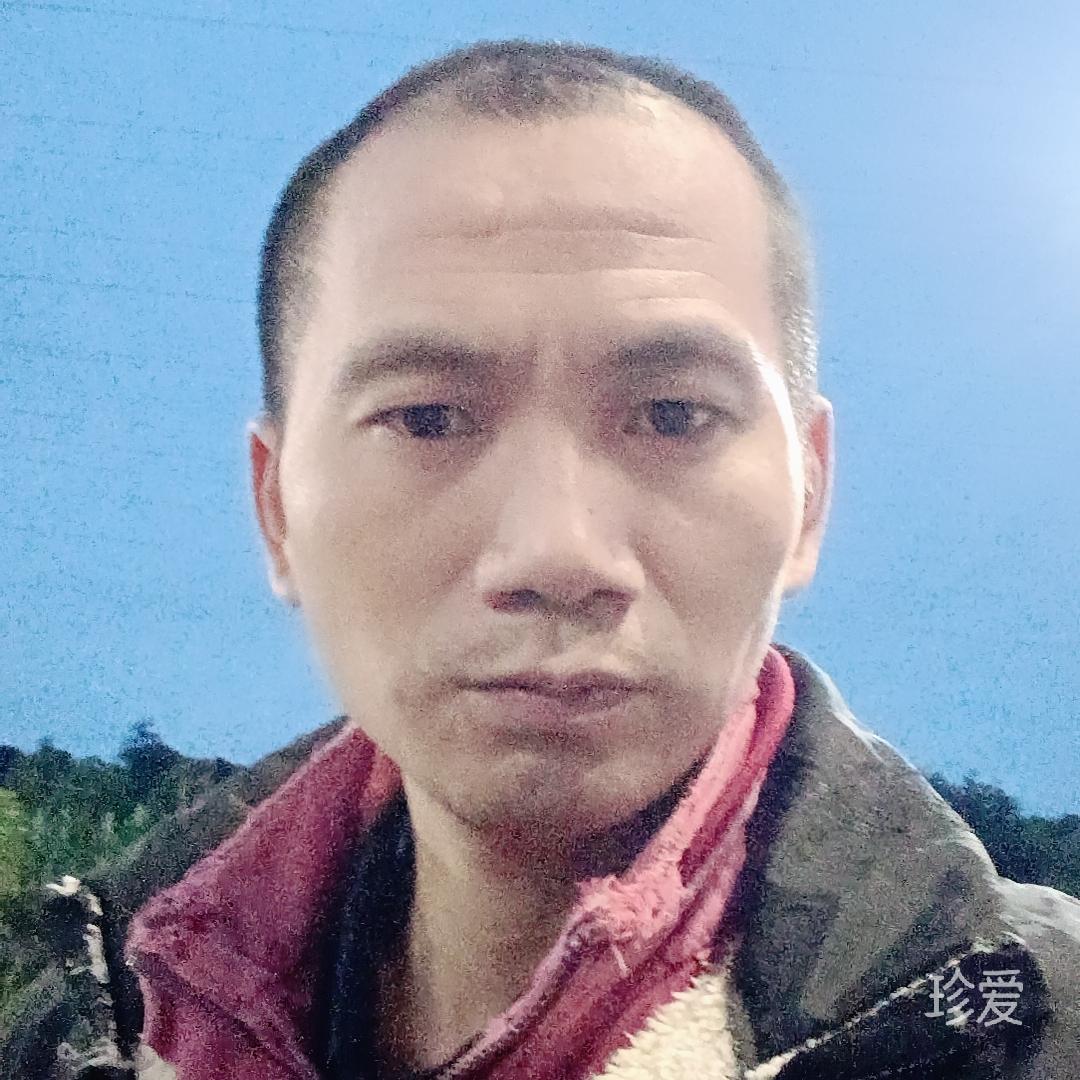 牧野之牛