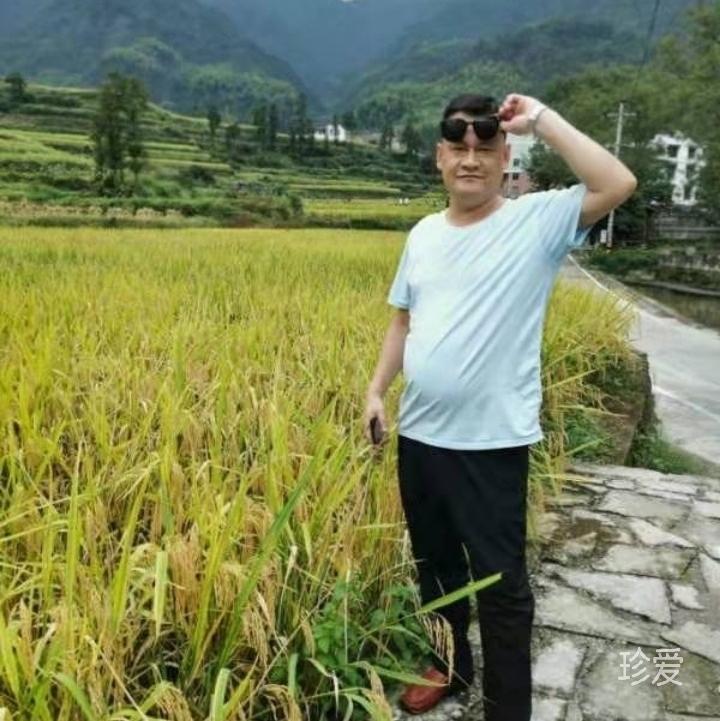 马到成公