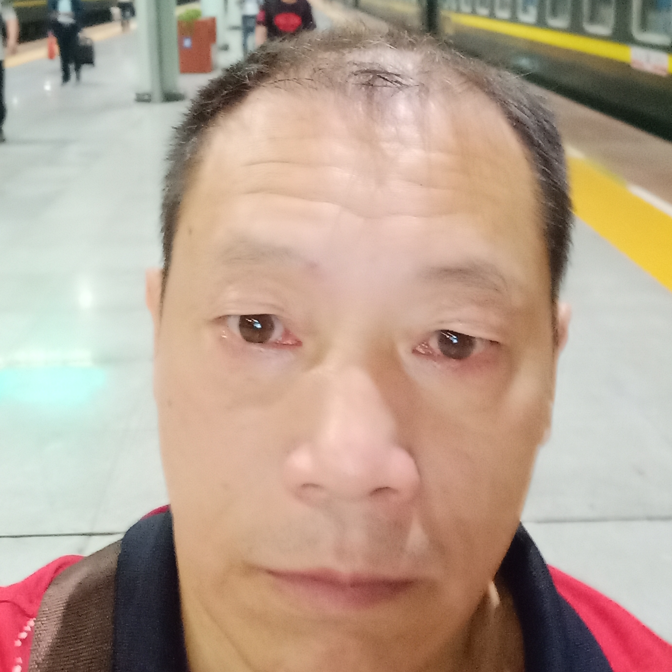 薛楠青朱植物快繁