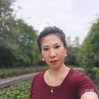 奮斗的小鳥(niǎo)