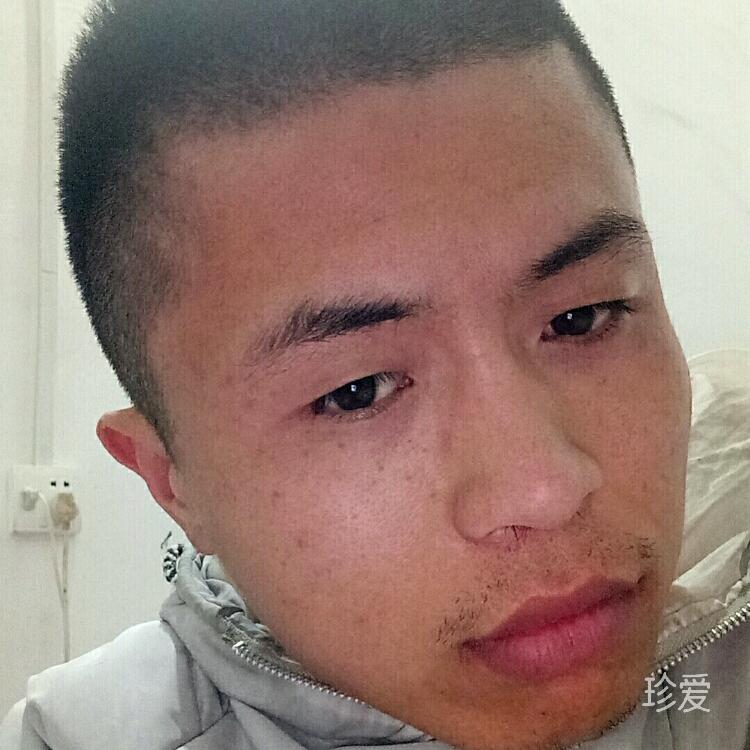 辰木