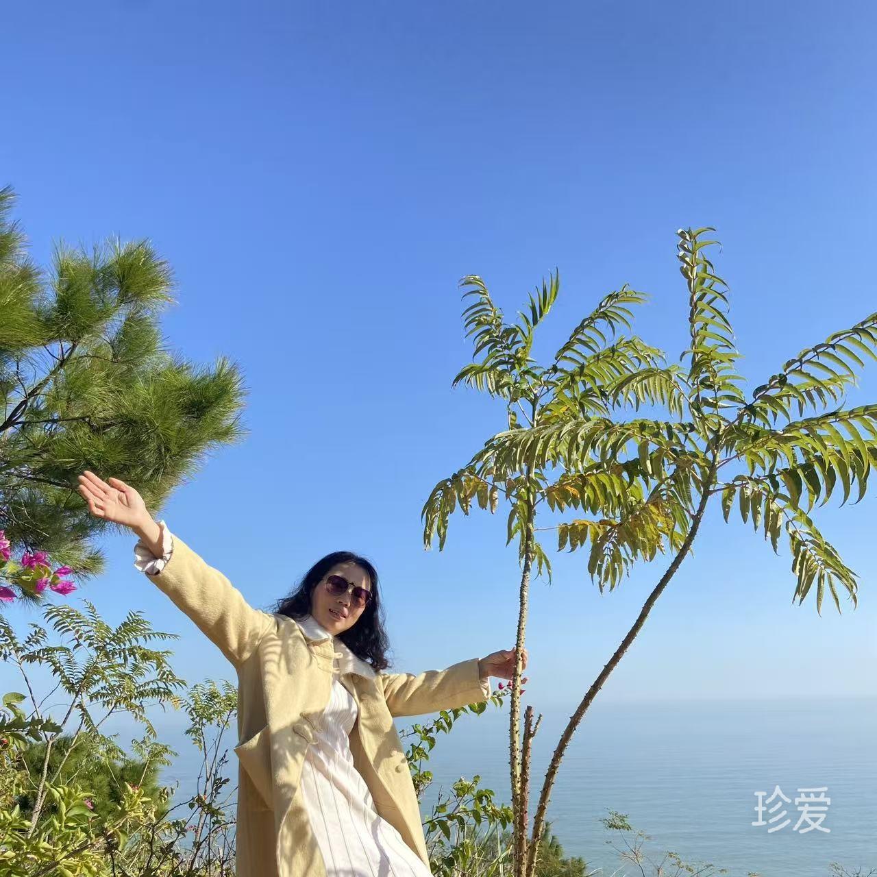 菊花茶