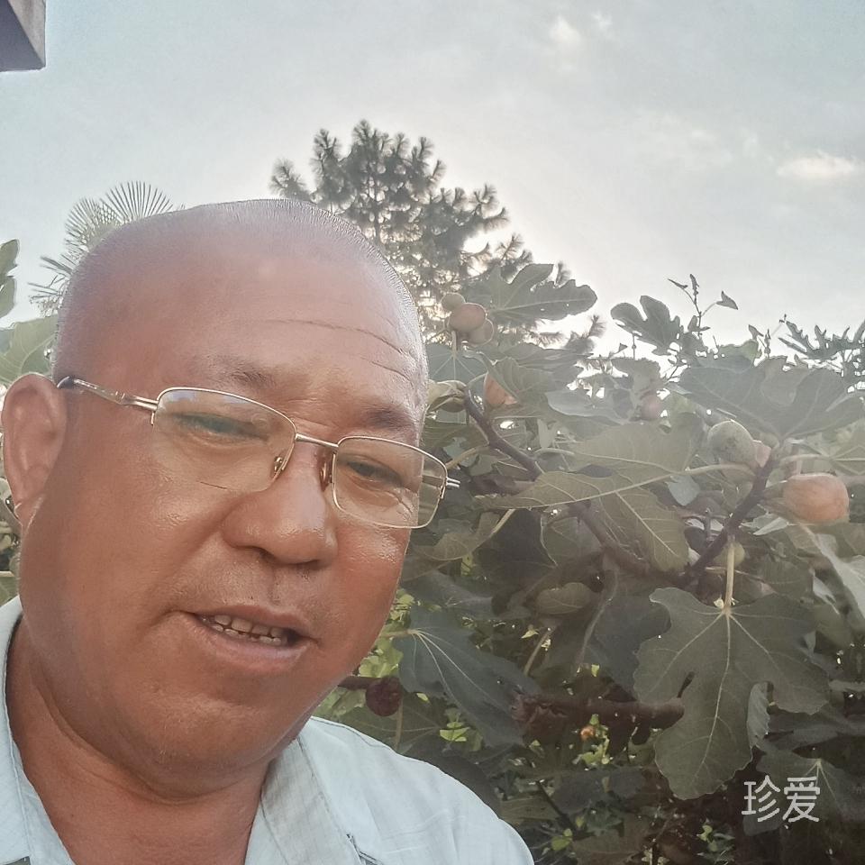我的未来不是梦