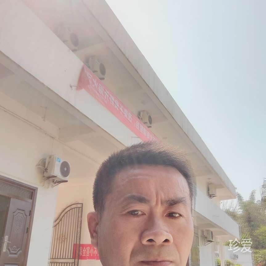 秋枫