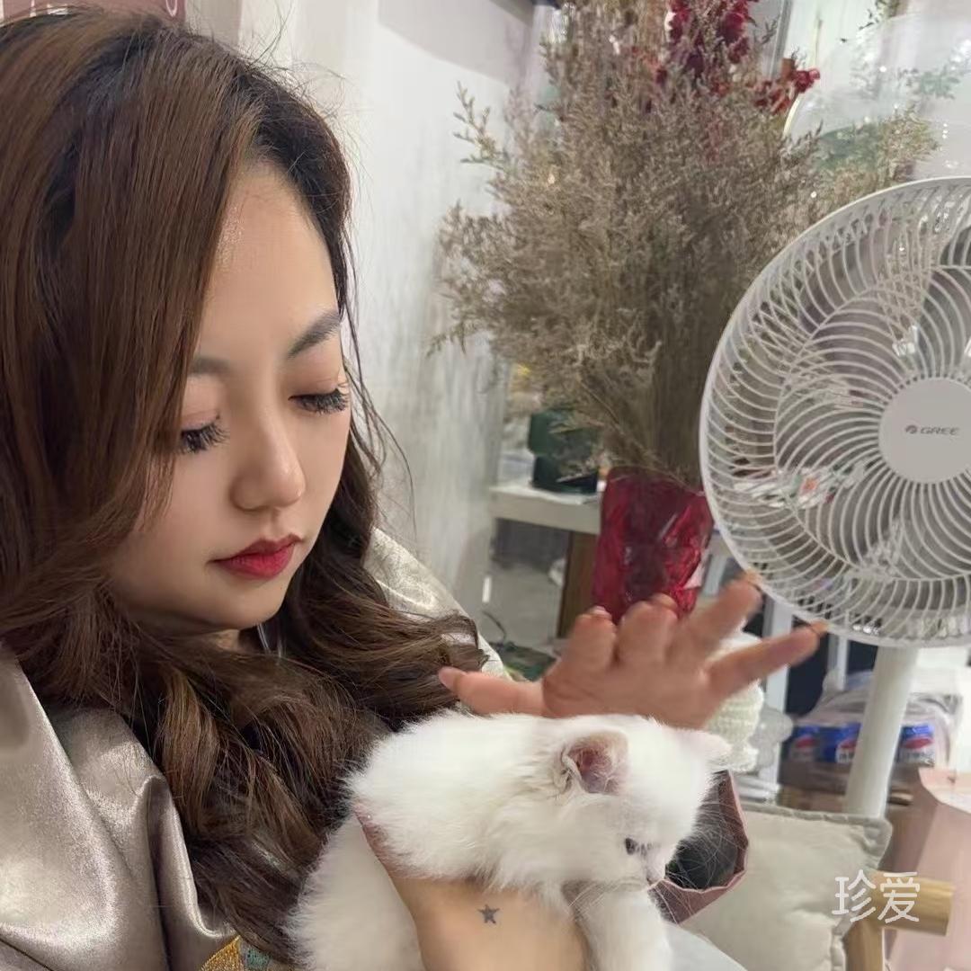 感恩快乐每一天