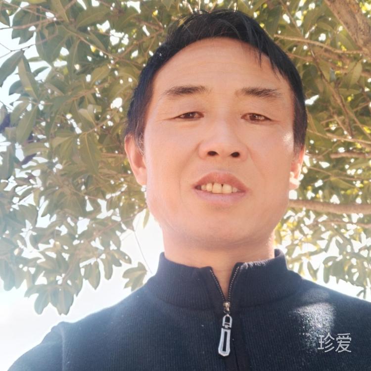 随缘