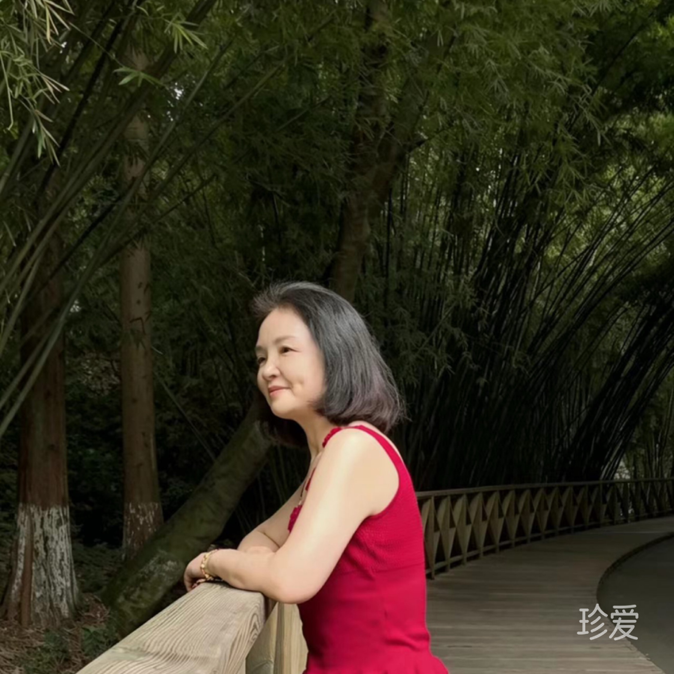 相思鸟