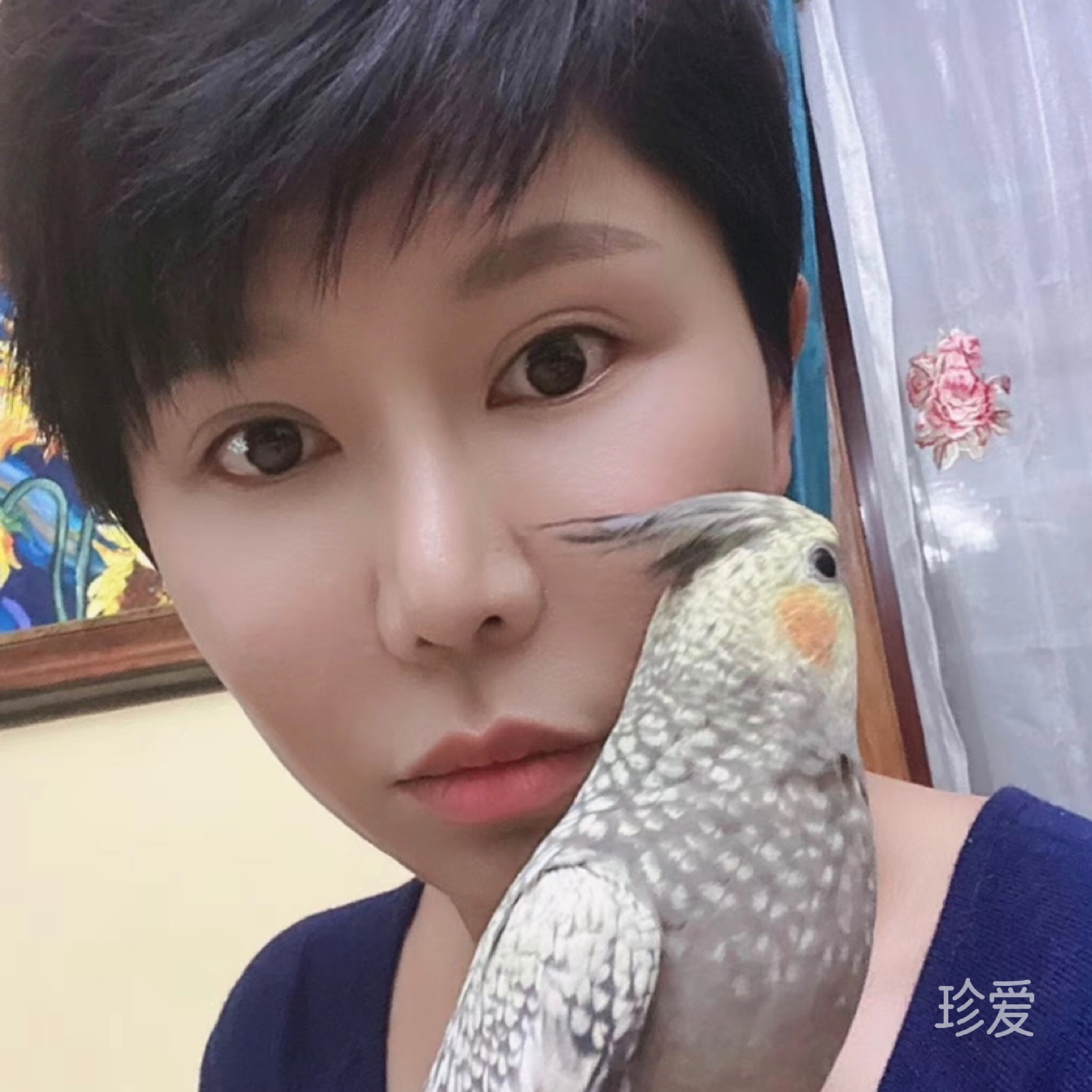 燕子