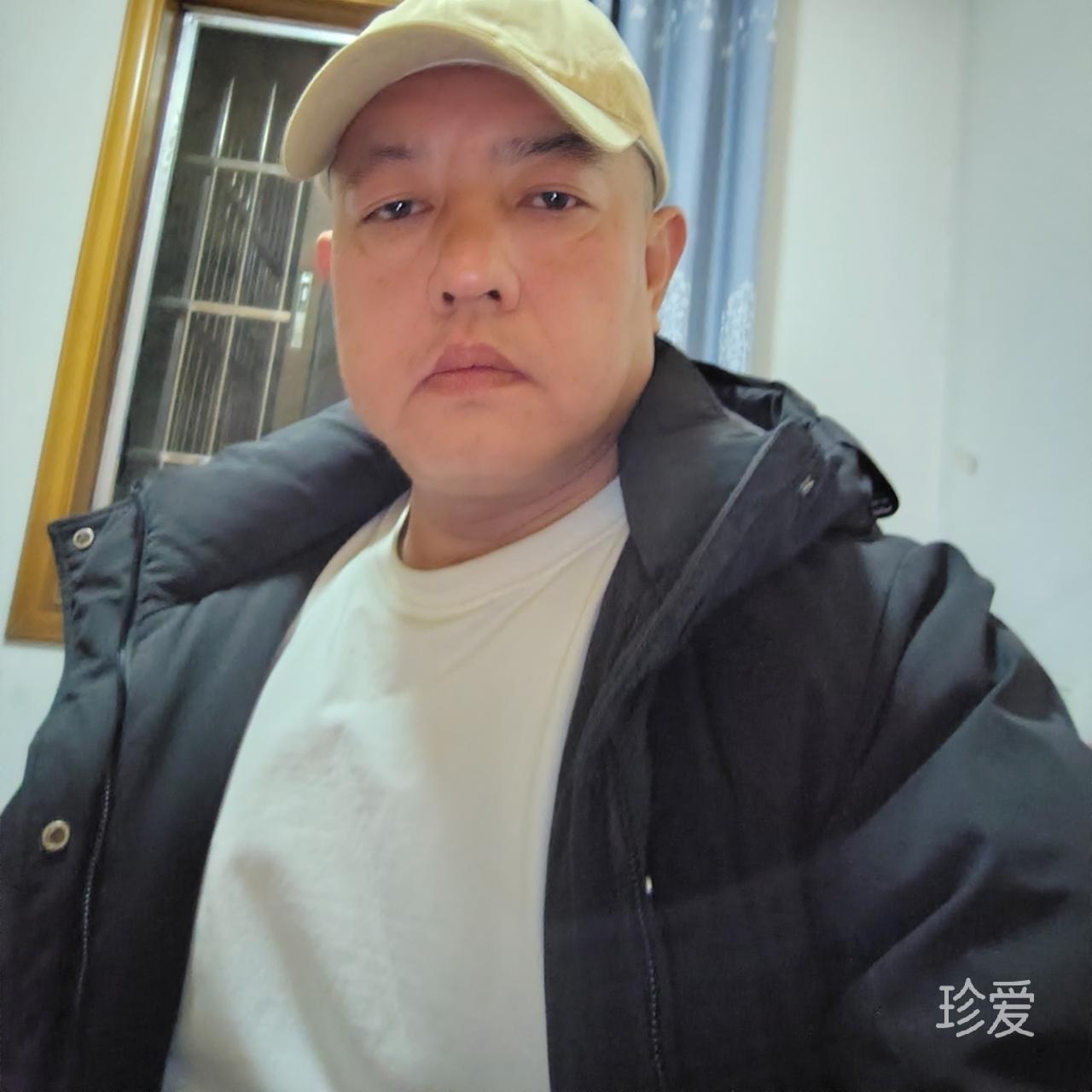 自由的风