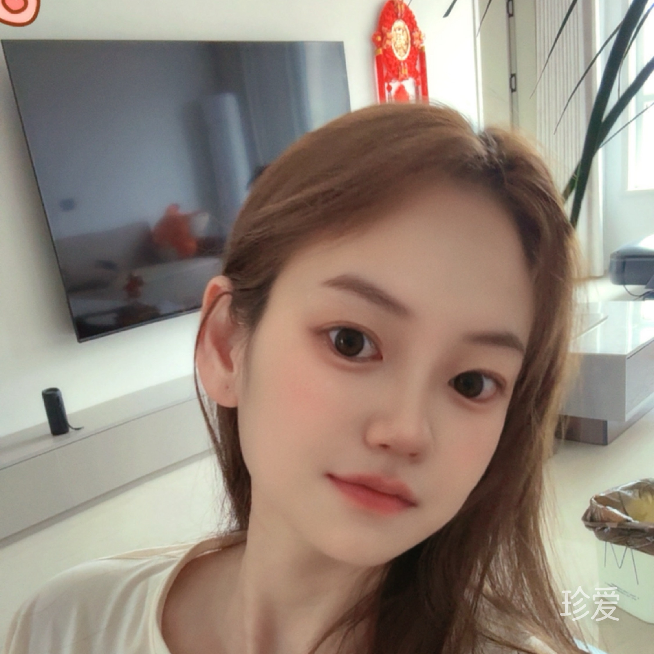 那些失去的青春