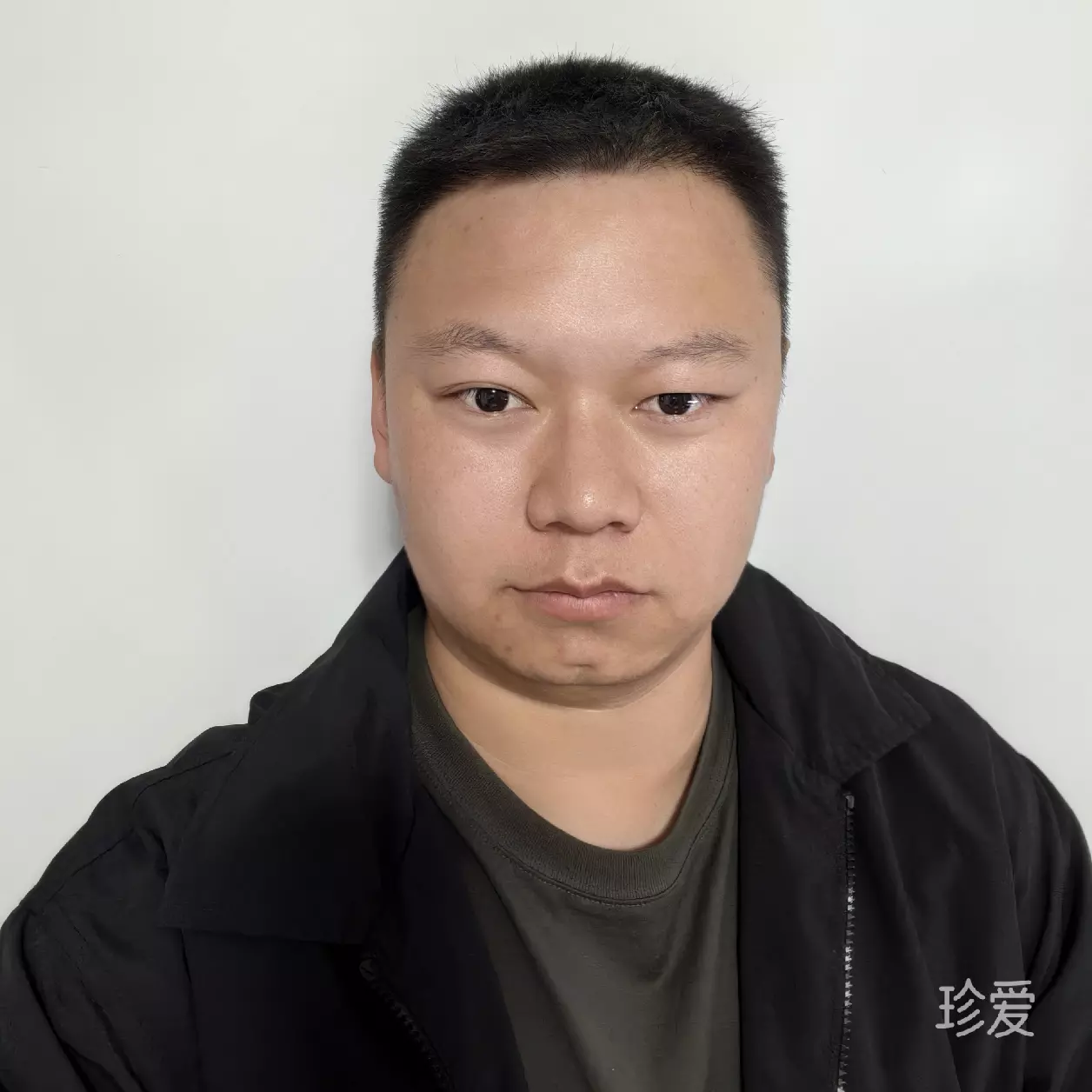 一只猪