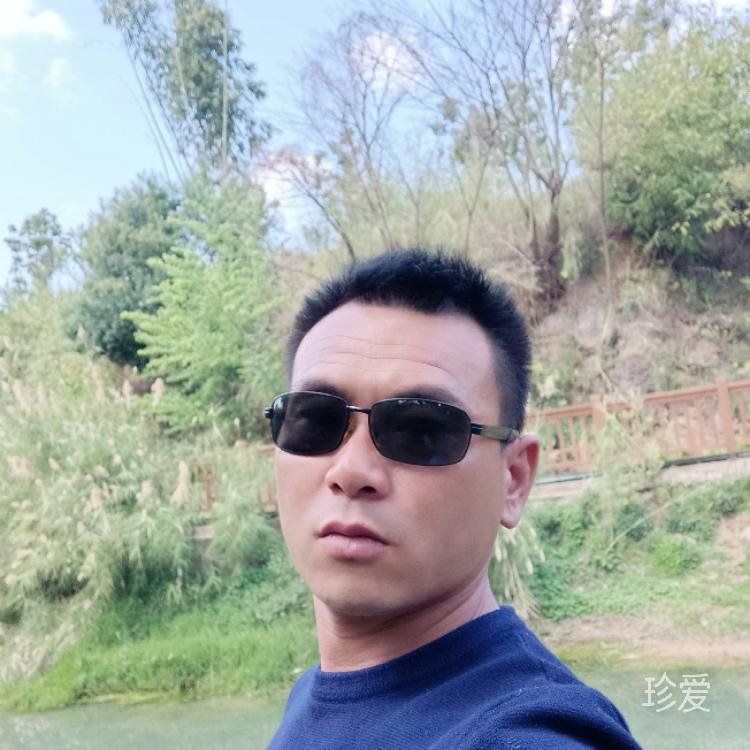 沒有你我怎么愜意