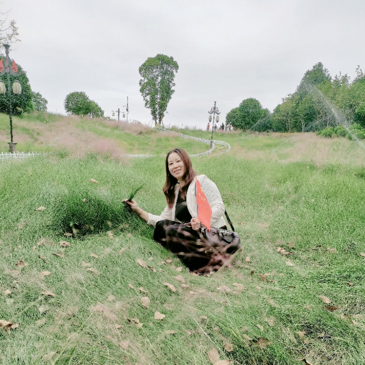 不是红袖不添香