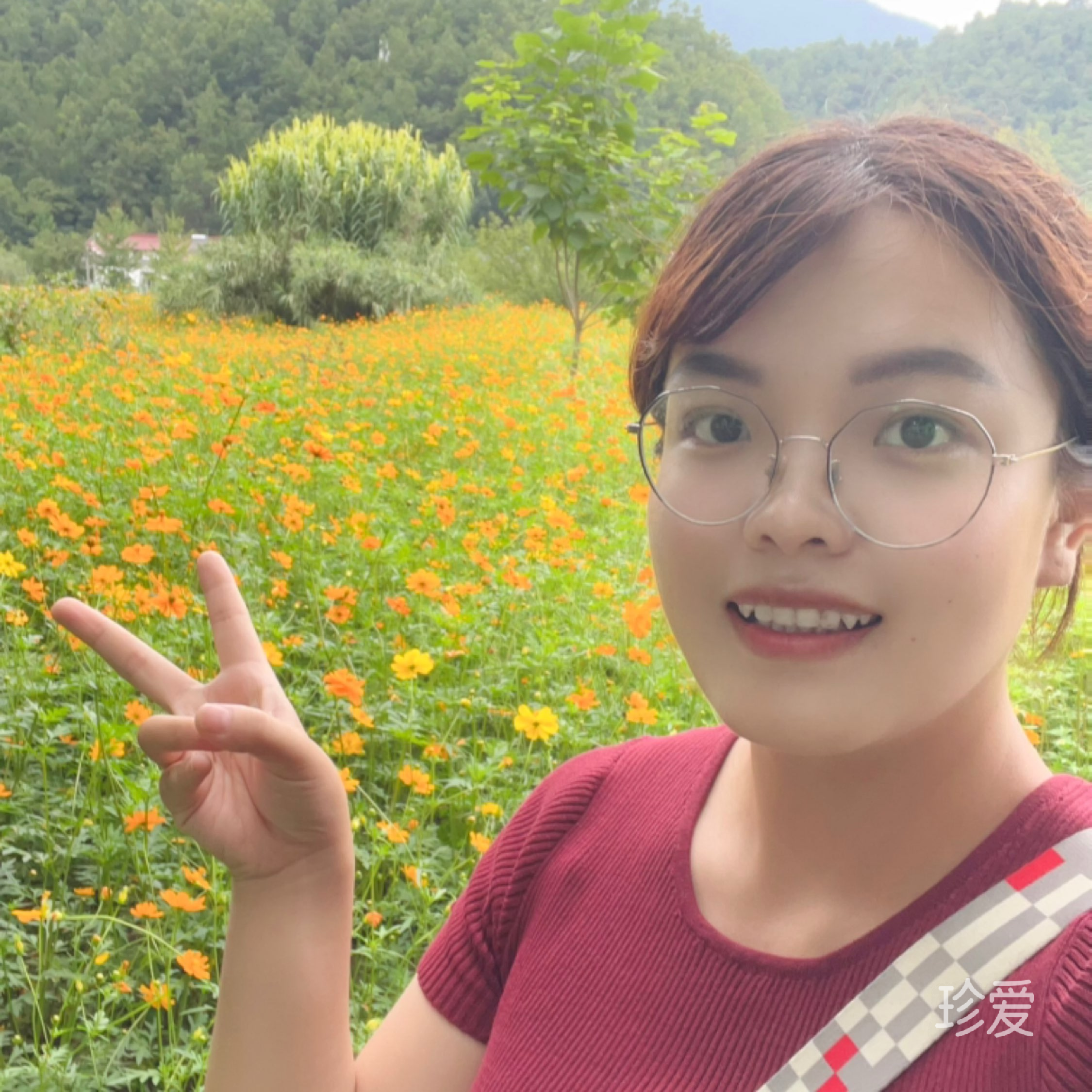阳光下的蓝